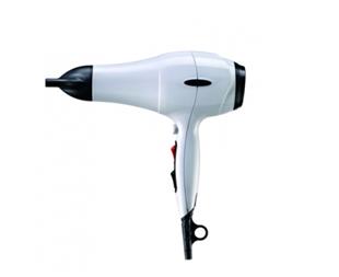 專業負離子吹風機(黑/白)DE-206